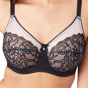 Retro Chic Full Figure Underwire Bra NWT 36H